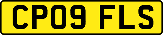 CP09FLS