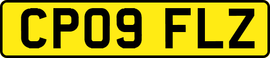 CP09FLZ