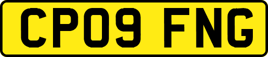 CP09FNG