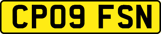 CP09FSN
