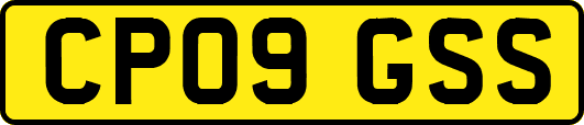 CP09GSS