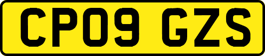 CP09GZS