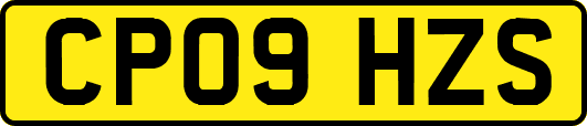 CP09HZS
