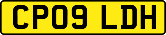 CP09LDH