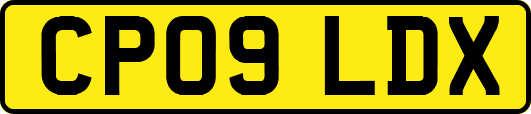 CP09LDX