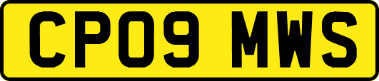 CP09MWS
