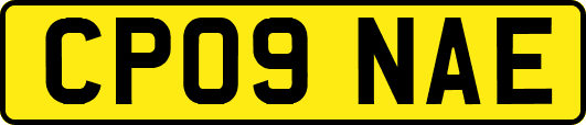 CP09NAE