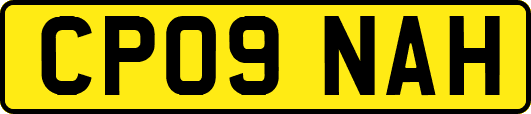 CP09NAH