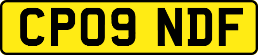 CP09NDF