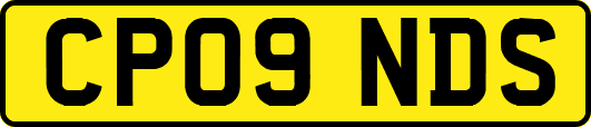 CP09NDS