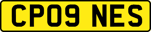 CP09NES