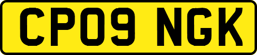 CP09NGK