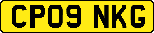 CP09NKG