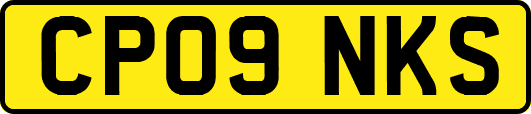 CP09NKS