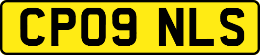CP09NLS