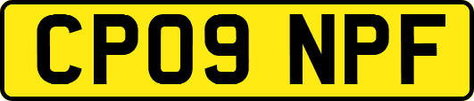 CP09NPF
