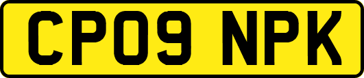 CP09NPK