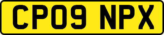 CP09NPX