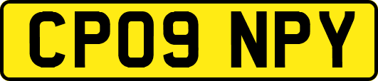 CP09NPY
