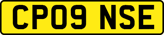 CP09NSE