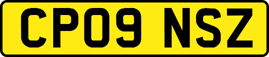 CP09NSZ