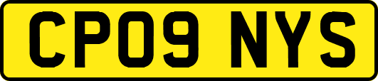 CP09NYS