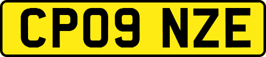 CP09NZE