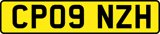 CP09NZH