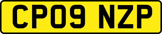 CP09NZP
