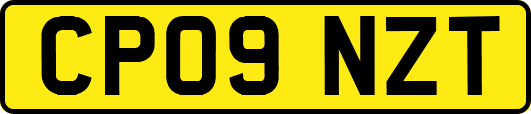 CP09NZT