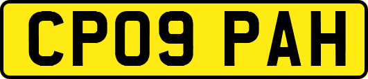 CP09PAH