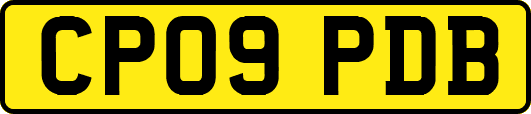 CP09PDB