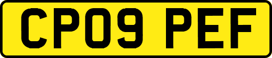 CP09PEF
