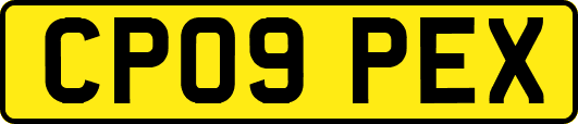 CP09PEX