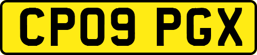 CP09PGX
