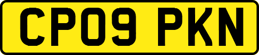 CP09PKN