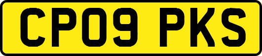 CP09PKS