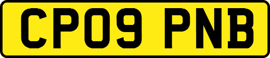 CP09PNB