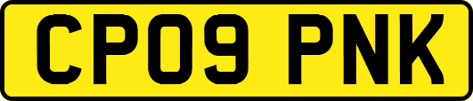 CP09PNK
