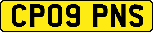 CP09PNS