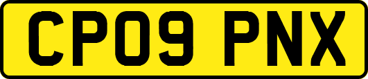 CP09PNX