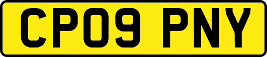 CP09PNY