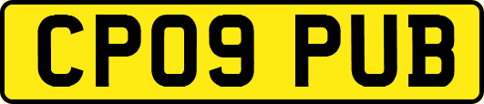 CP09PUB