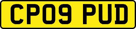 CP09PUD