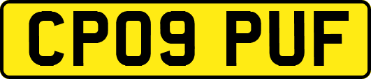 CP09PUF