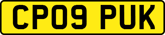 CP09PUK