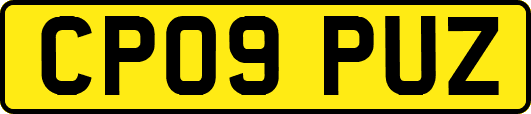 CP09PUZ