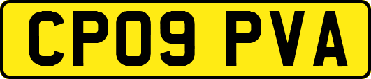 CP09PVA