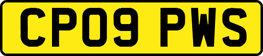 CP09PWS