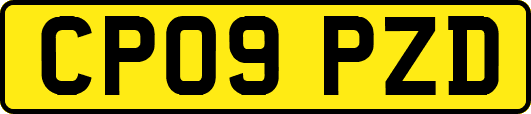 CP09PZD